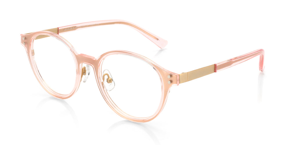 Clipon Sunglasses JINS