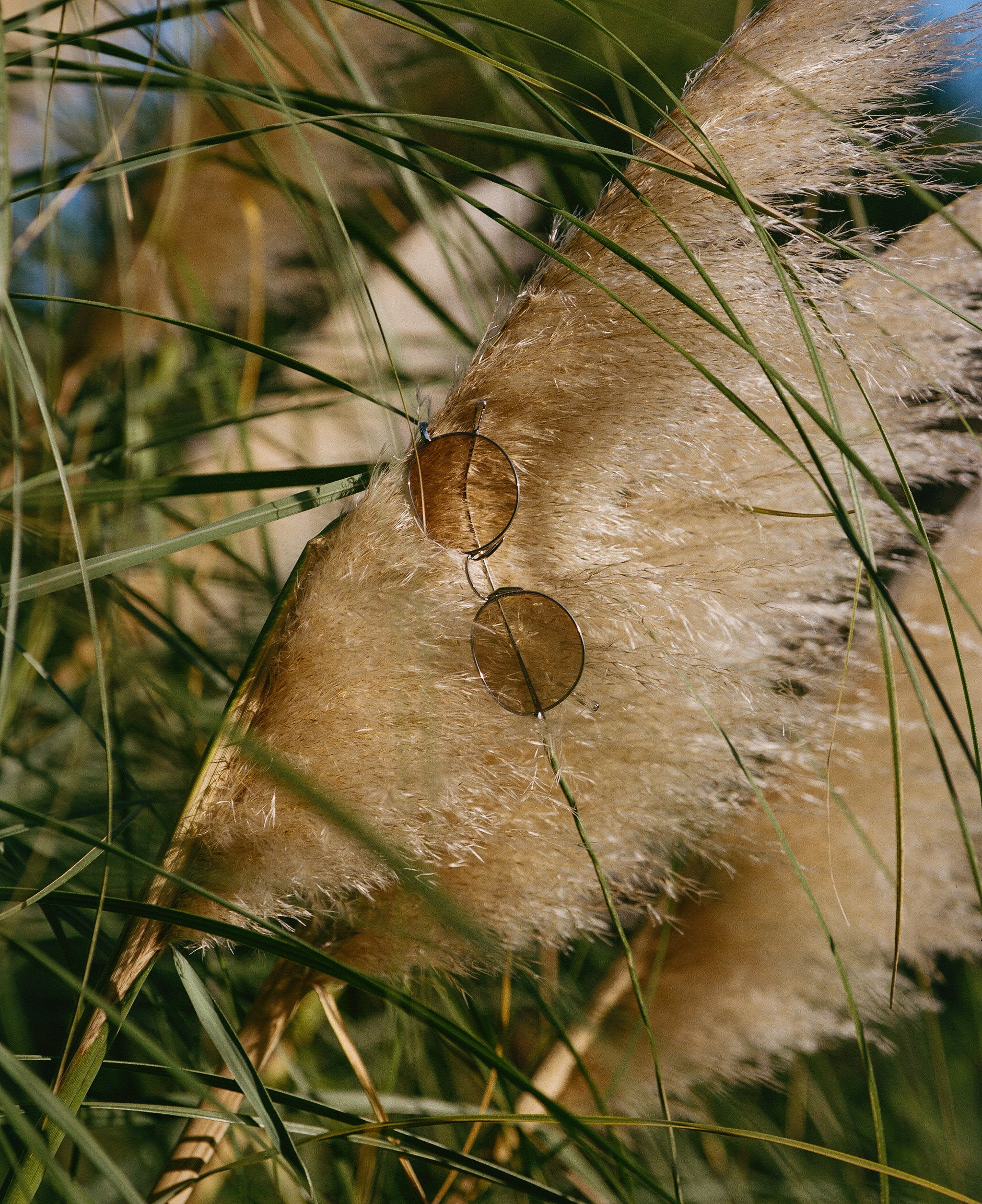 Detail view